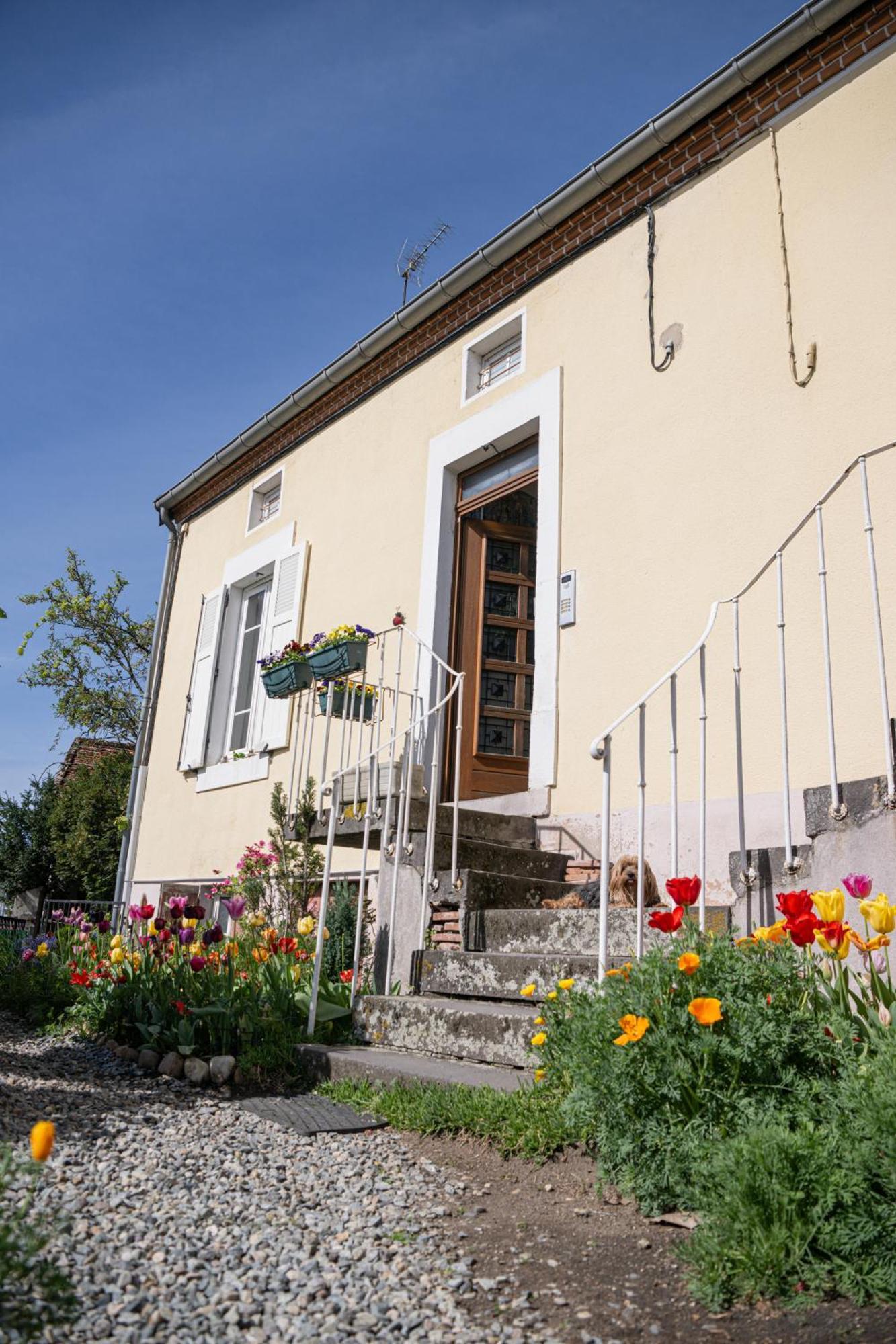 La Belle Rive Du Voyageur Apartment Bellerive-sur-Allier Exterior foto